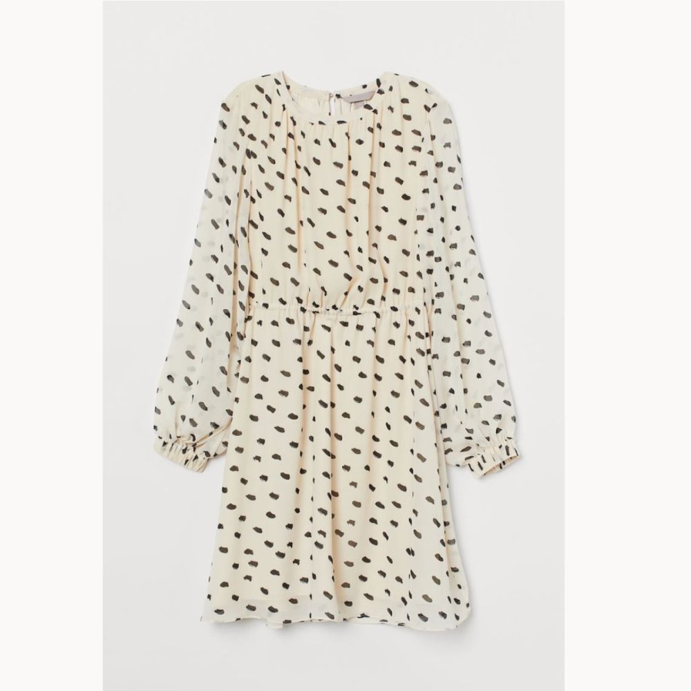 H&M Chiffon Dress (Fits like a sm/med)